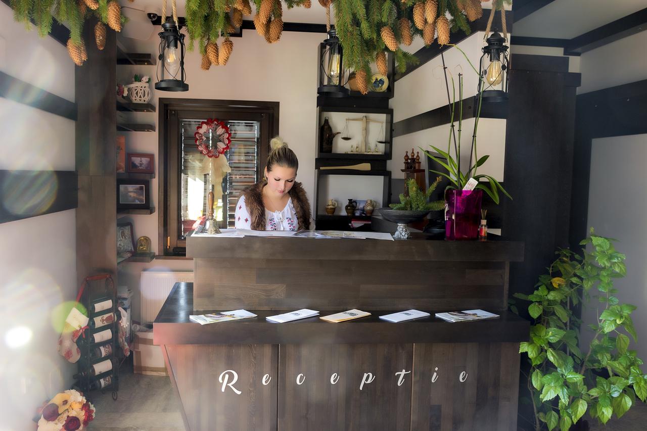 Pensiunea Campia Soarelui Apa Neagră Exterior foto